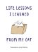 Life Lessons I Learned from my Cat