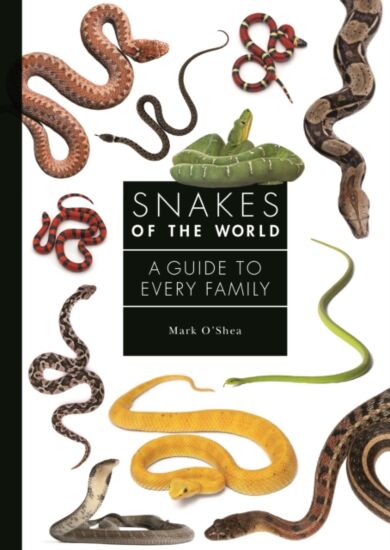 Snakes of the World