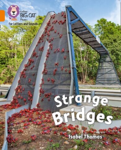 Strange Bridges