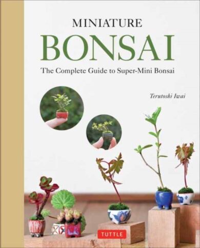 Miniature Bonsai