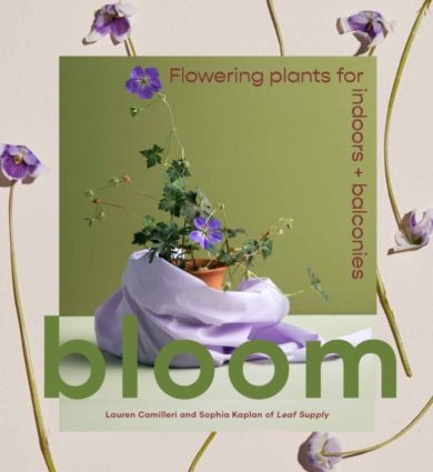 Bloom