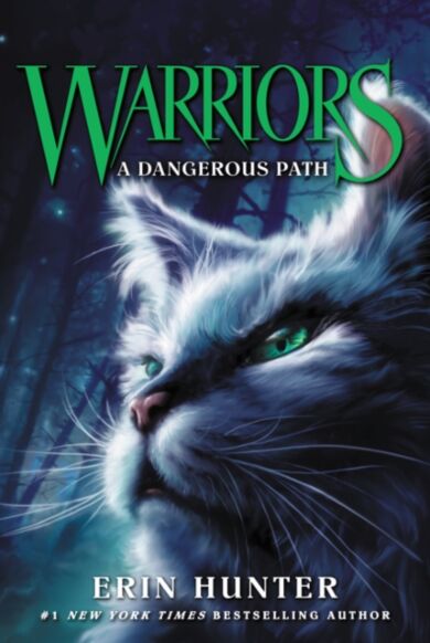 Warriors #5: A Dangerous Path