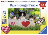 Puslespill 2X24 Kattunger Ravensburger