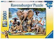 Puslespill 300 Afrikavenner Ravensburger