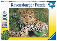 Puslespill 100 Eksotiske Dyr Ravensburger