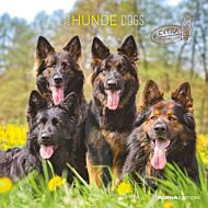 Kalender 2025 Dogs 30x30cm