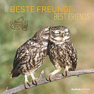 Kalender 2025 Best Friends 30x30cm