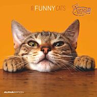 Kalender 2025 Funny Cats 30x30cm