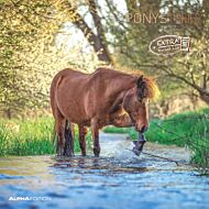 Kalender 2025 Ponies 30x30cm