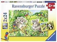 Puslespill 2X24 Koalaer Og Pandaer Ravensburger