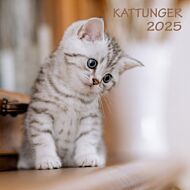 Kalender 2025 Kattunger 18x18cm