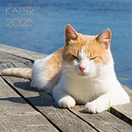 Kalender 2025 Katter 18x18cm