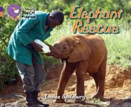 Elephant Rescue