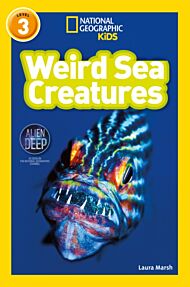 Weird Sea Creatures