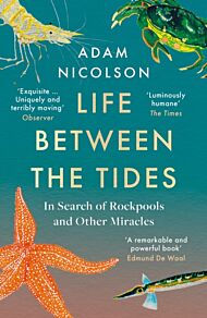 Life Between the Tides