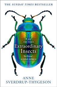 Extraordinary Insects