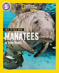 Face to Face with Manatees