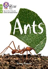 Ants