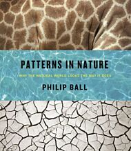 Patterns in Nature