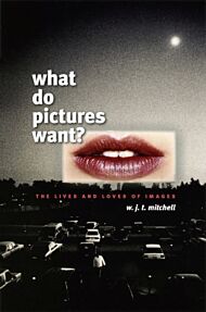 What Do Pictures Want?