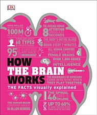 How the Brain Works