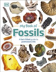 My Book of Fossils