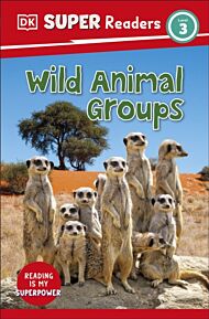 DK Super Readers Level 3 Wild Animal Groups