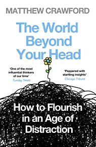 The World Beyond Your Head