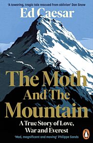 The Moth and the Mountain