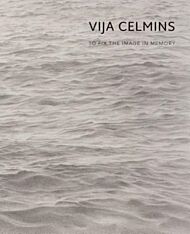 Vija Celmins