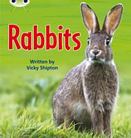 Bug Club Phonics Non Fiction Year Two Phase 5 Set 27 Rabbits