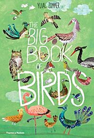 The Big Book of Birds