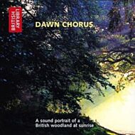 Dawn Chorus