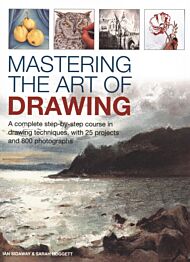 Mastering the Art of Drawing