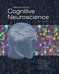 Principles of Cognitive Neuroscience