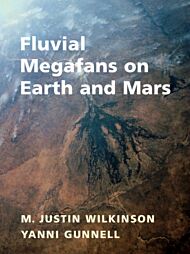 Fluvial Megafans on Earth and Mars