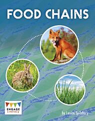 Food Chains