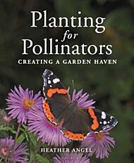 Planting for Pollinators