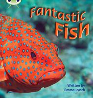 Bug Club Phonics Non Fiction Year 1 Phase 4 Set 12 Fantastic Fish