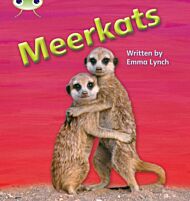 Bug Club Phonics Non-fiction Set 22 Meerkats