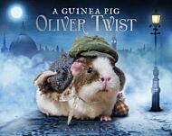 A Guinea Pig Oliver Twist