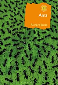 Ants