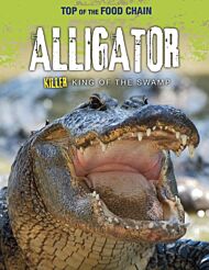 Alligator