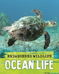 Endangered Wildlife: Rescuing Ocean Life