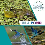 Explore Ecosystems: In a Pond