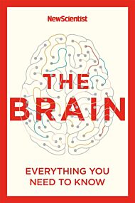 The Brain