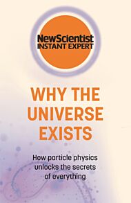 Why the Universe Exists