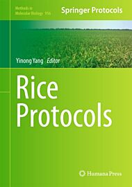 Rice Protocols