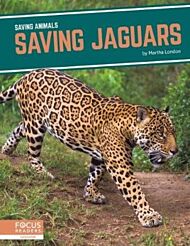 Saving Animals: Saving Jaguars