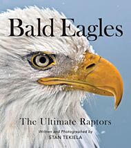 Bald Eagles